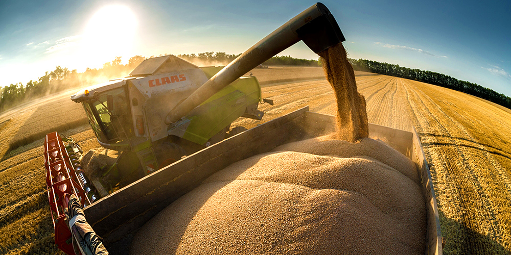 Минсельхоз ожидает рекордного экспорта зерна в текущем сельхозгоду